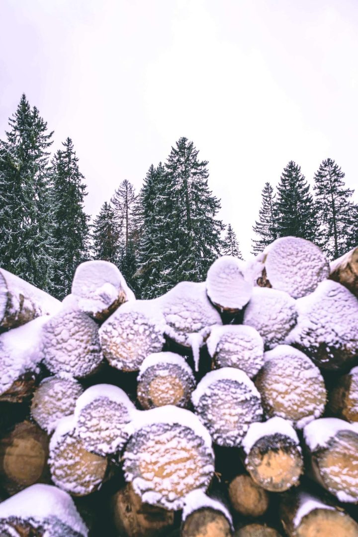 snowy wood-pile