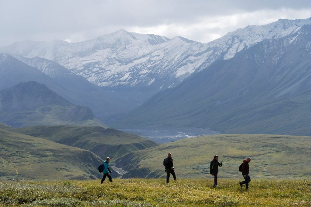 hikers on the tundra