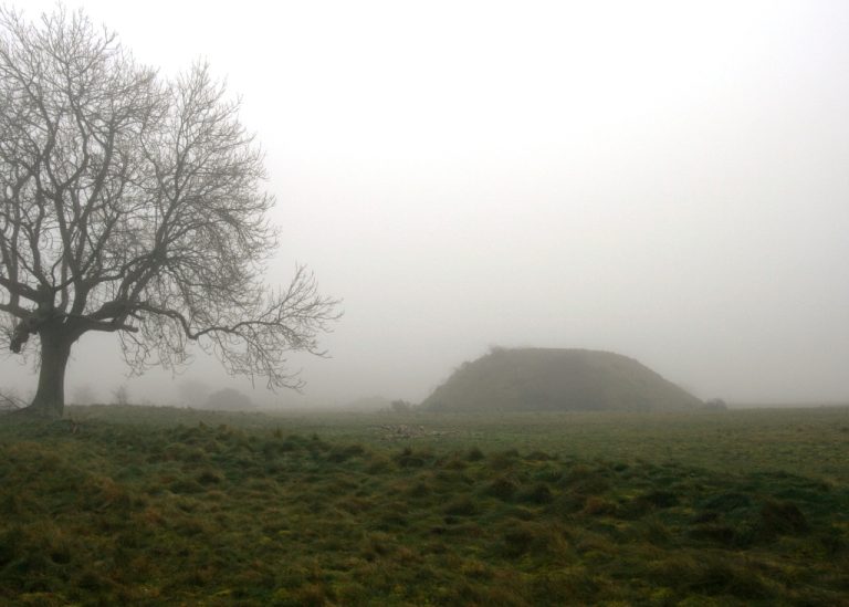 Photo of the Sutton Hoo ridge in Suffolk, England