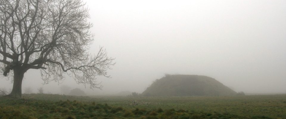 Photo of the Sutton Hoo ridge in Suffolk, England
