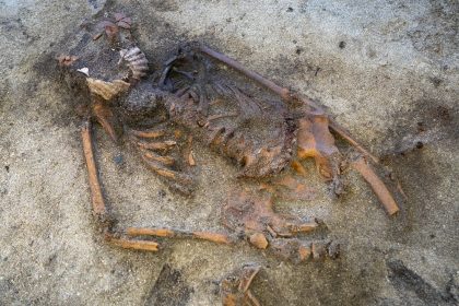 Viking-era grave containing the skeleton of a woman with scallop shells on her jaw.