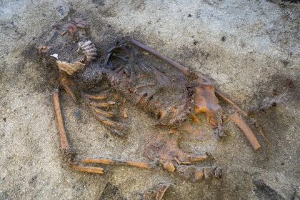 Viking-era grave containing the skeleton of a woman with scallop shells on her jaw.